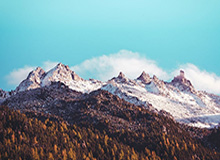 星空体育平台-莱万肘击无牌+中卫手球无点 波兰两逃极刑引争议